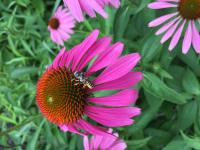 View photo in a new window