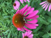 View photo in a new window