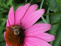 View photo in a new window