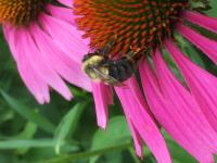 View photo in a new window