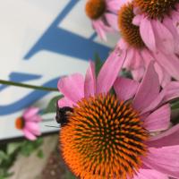 View photo in a new window