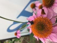 View photo in a new window