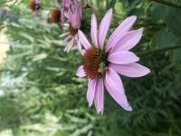 View photo in a new window