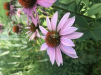 View photo in a new window