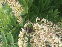 View photo in a new window