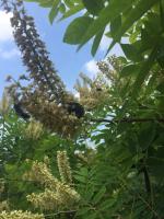 View photo in a new window