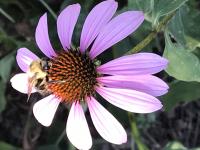 View photo in a new window