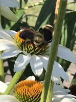 View photo in a new window