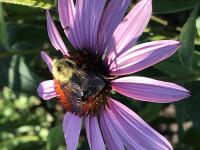 View photo in a new window