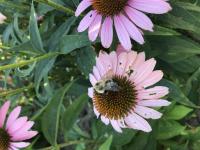 View photo in a new window