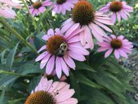 View photo in a new window