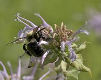 View photo in a new window