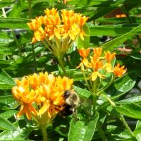 View photo in a new window