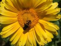 View photo in a new window