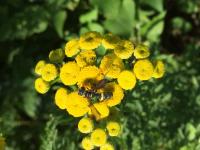 View photo in a new window