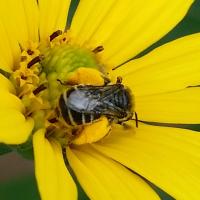 View photo in a new window