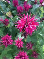 View photo in a new window