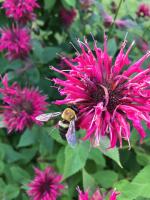 View photo in a new window