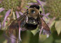 View photo in a new window