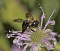 View photo in a new window