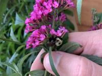 View photo in a new window