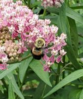 View photo in a new window