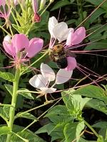 View photo in a new window