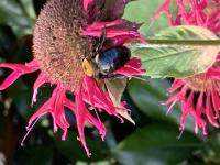 View photo in a new window