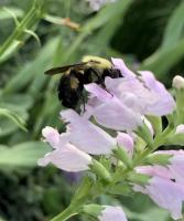 View photo in a new window