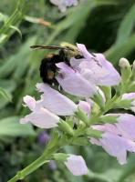 View photo in a new window