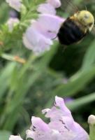 View photo in a new window