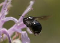 View photo in a new window