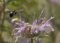 View photo in a new window