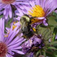 View photo in a new window