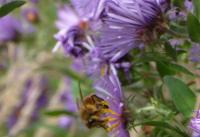 View photo in a new window