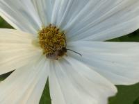 View photo in a new window