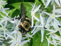 View photo in a new window