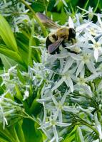 View photo in a new window