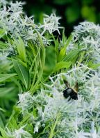 View photo in a new window