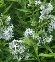 View photo in a new window