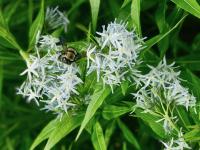 View photo in a new window