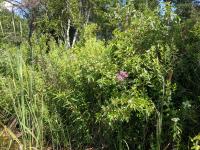 View photo in a new window