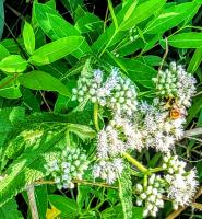 View photo in a new window