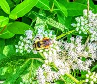 View photo in a new window