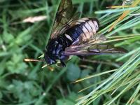 View photo in a new window