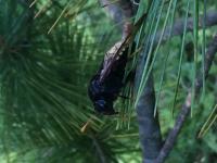 View photo in a new window