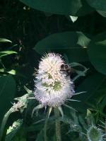 View photo in a new window