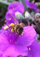 View photo in a new window