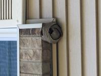 View photo in a new window