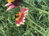 View photo in a new window